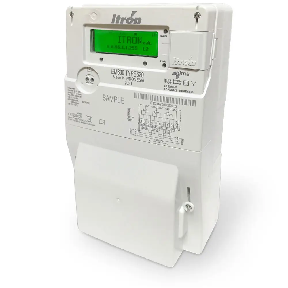 ITRON EM620 DC 5(100)A